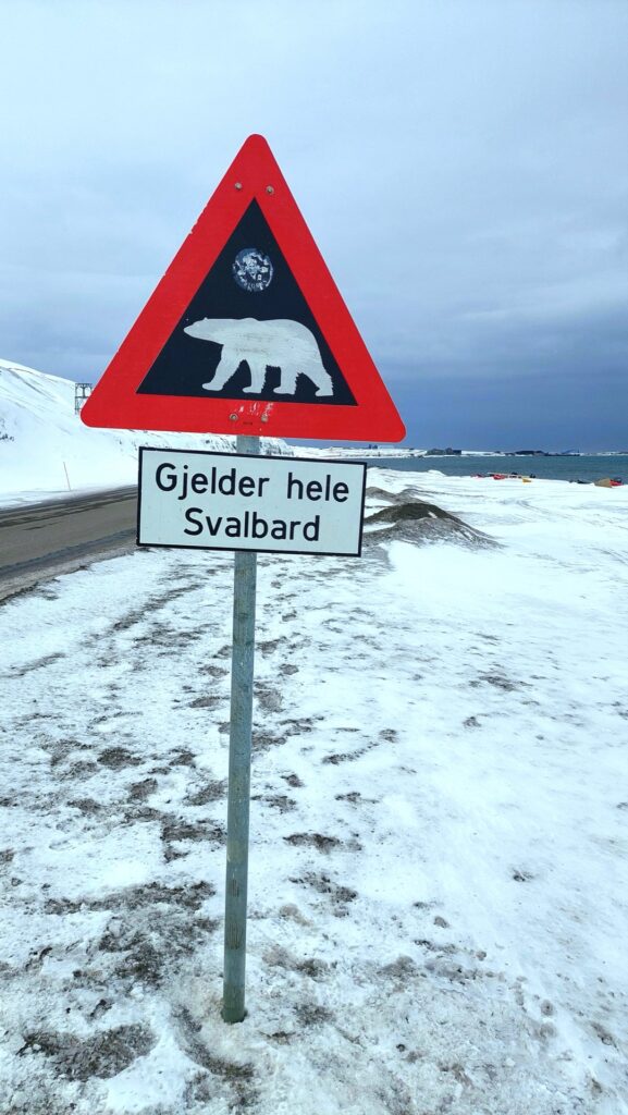 Znak ostrzegający przed niedźwiedziami